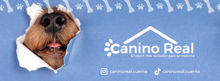 Perros felices en Canino Real