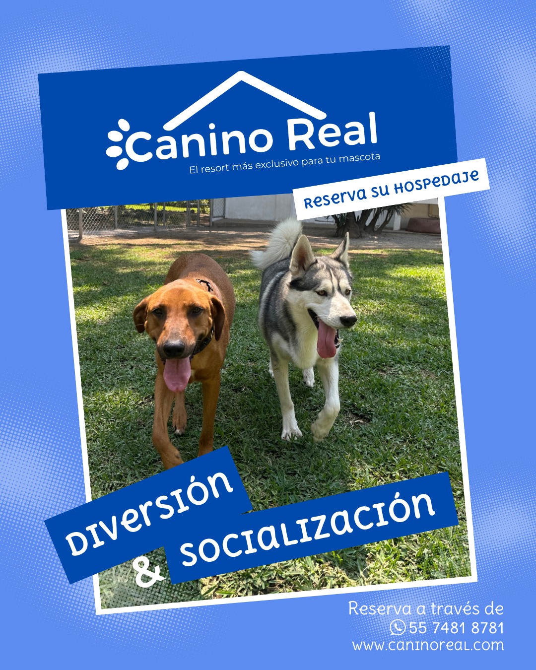 Diversión y socialización