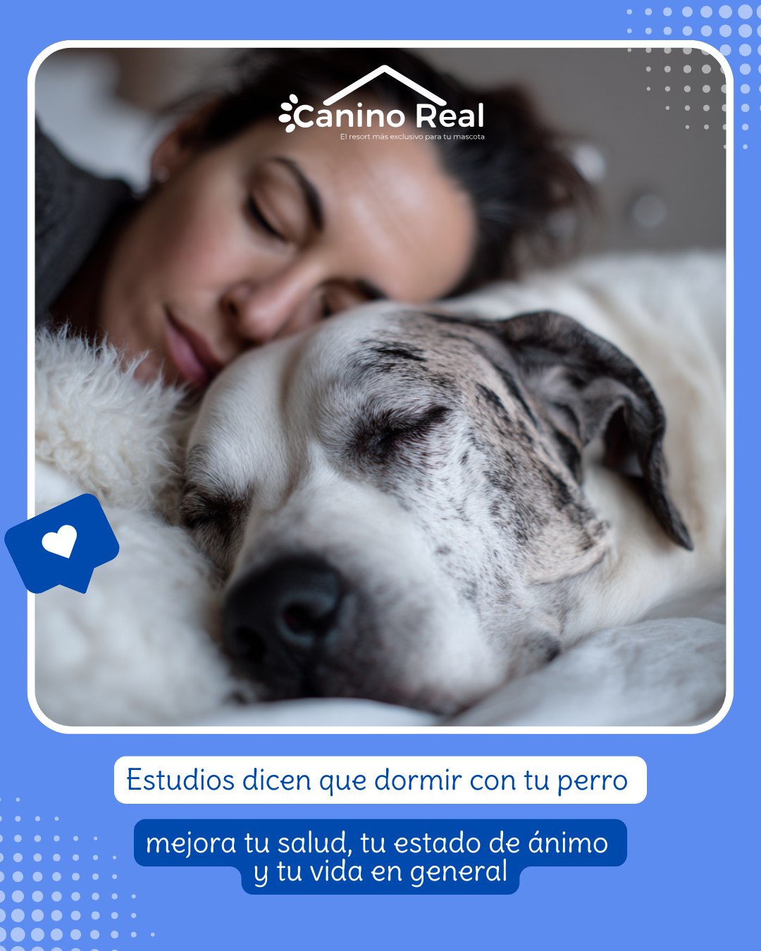 Durmiendo con tu perro