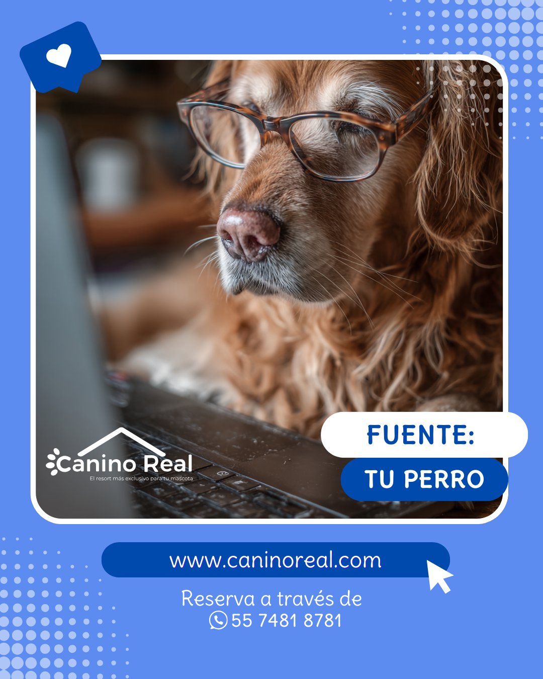 Perro con lentes