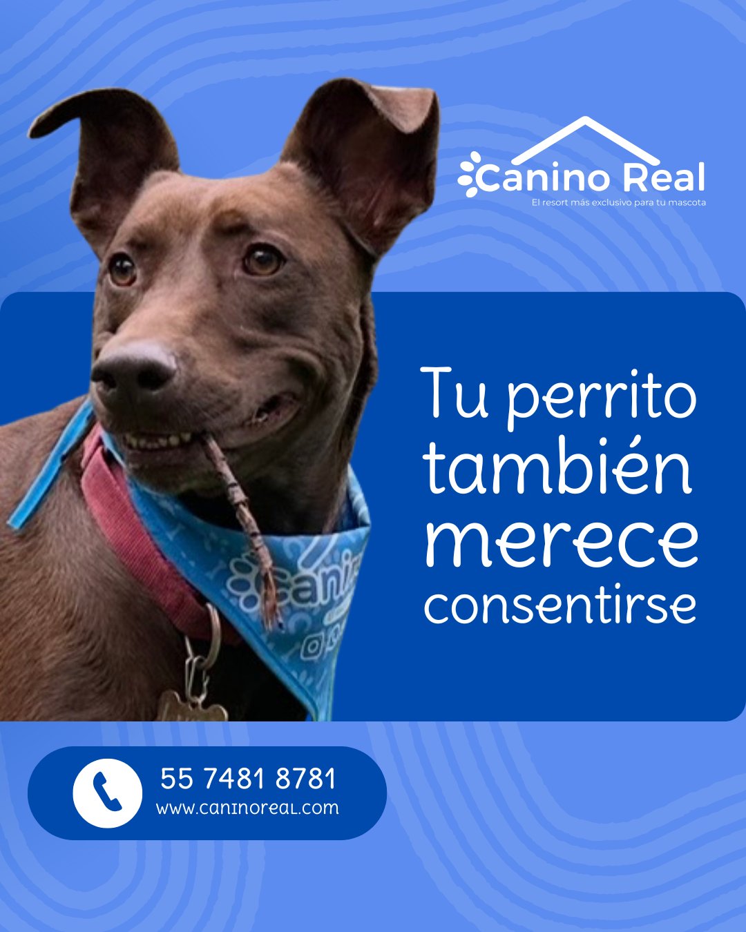 Hospedaje en Canino Real