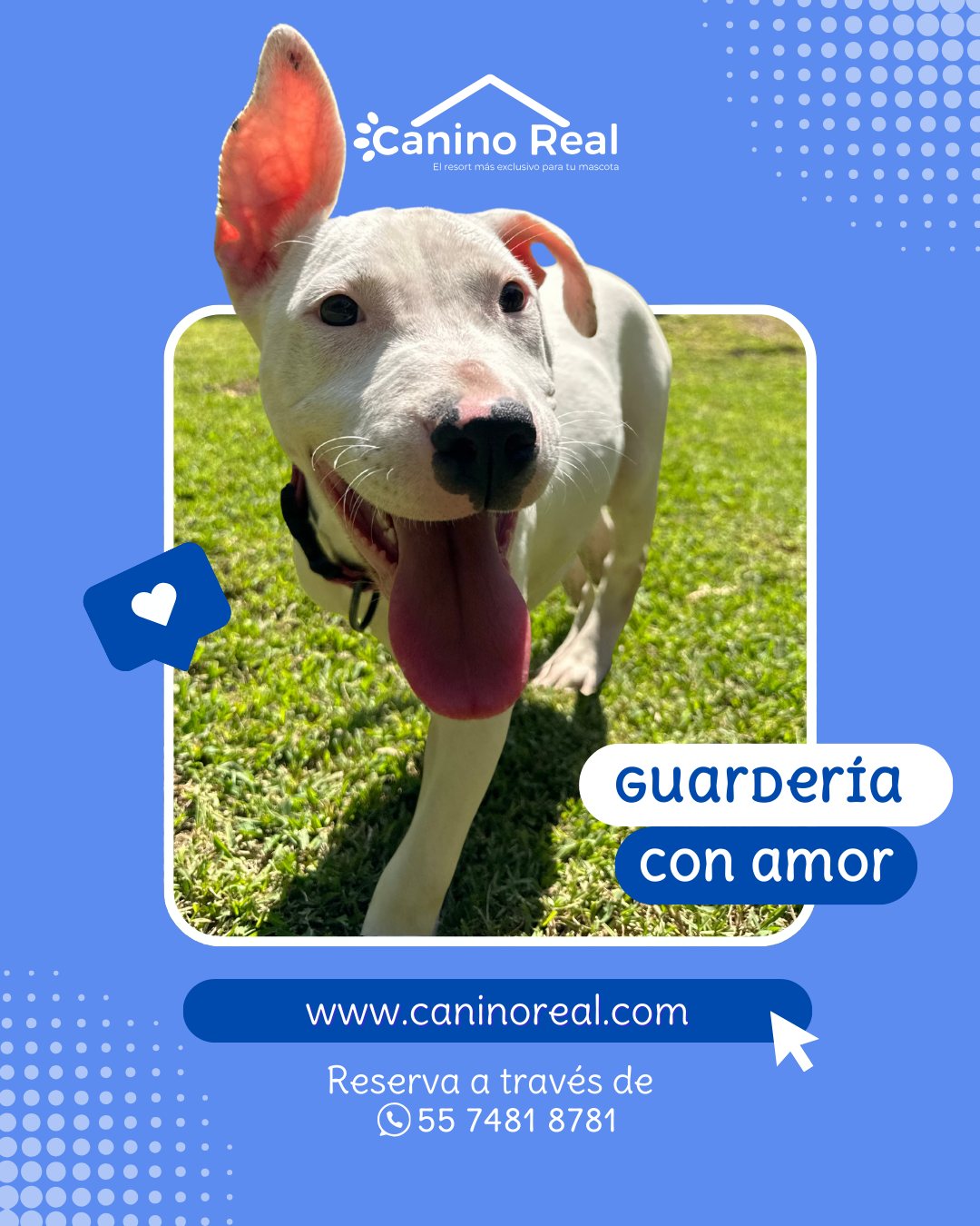 Guardería con amor